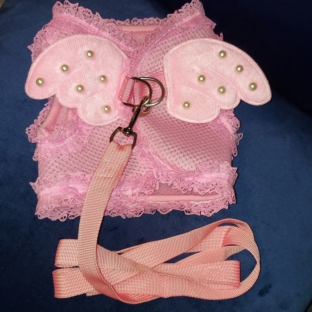 Doggie wear Angel outfit